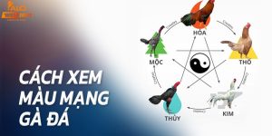 Cách xem màu mạng gà đá