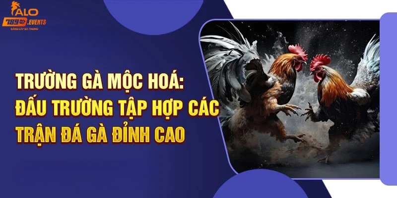 Thông tin về trường gà Mộc Hóa