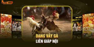 Vảy gà Liên Giáp Nội