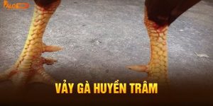 Vảy Huyền Trầm