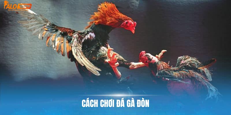 Cách tham gia chơi đá gà đòn