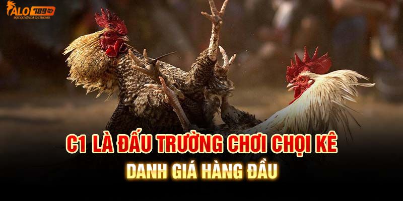 Giới thiệu chung về đấu trường đá gà chọi C1